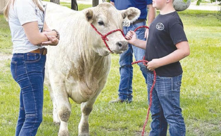 Dewey County 4-H youth show their projects