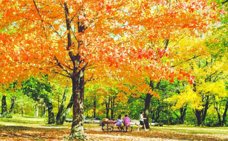 Photo by Jon Flatland Bright colors and falling leaves indicate that fall is in full swing. There is no prettier place this time of year than Little Moreau Recreation Area south of Timber Lake.