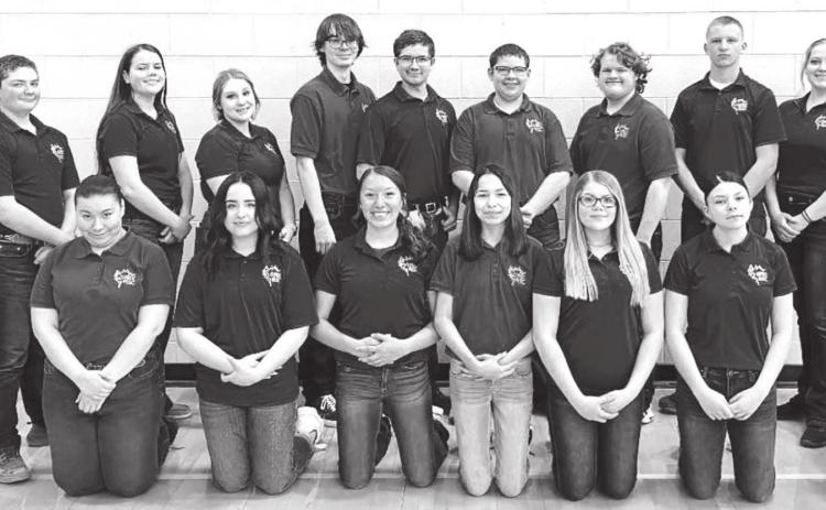 DHS Choir earns superior