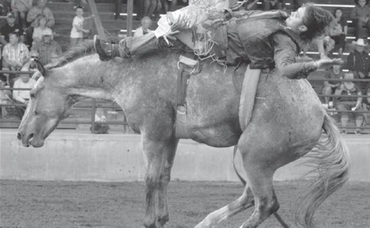 Knight wins Days of 1910 bareback bronc crown