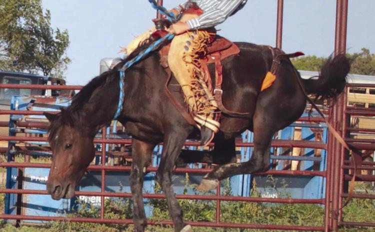 Isaiah Ducheneaux of Timber Lake was among the ranch bronc riders competing at the 3 Rivers Ranch Rodeo in Timber Lake on Saturday, Oct. 30. Jackson Harrison of Timber Lake won ranch bronc riding event with CJ Jewett claiming second place. Photo by Jon Flatland
