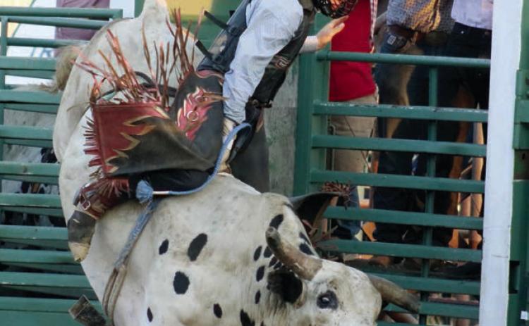 Timber Lake cowboy Thane Keller was among the 29 participants in the Cowboys Care Bull Bash held in Isabel on Saturday, July 13. The event was a fundraiser for the Horizon Health Foundation. See more bullriding photos on the Topic Facebook page. Photo by Jon Flatland