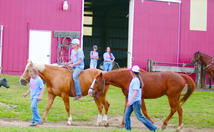 Cowgirl Heaven