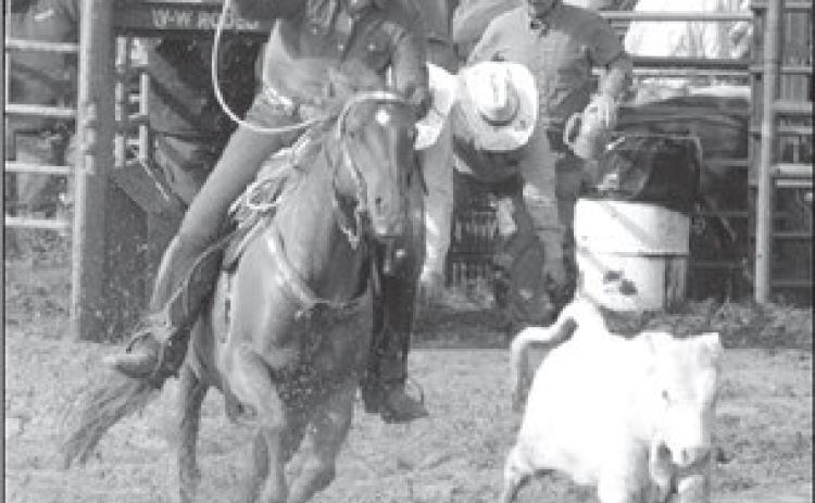 Focus on Rodeo