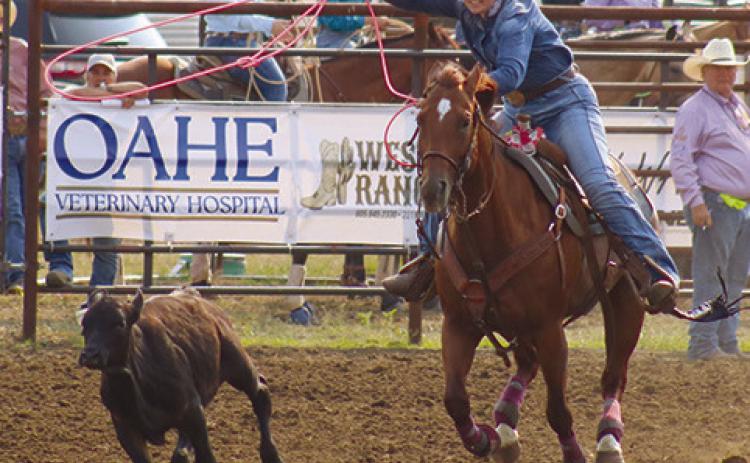 Kailyn Groves of Faith makes her run during ladies breakaway at the 2024 Days of 1910 Rodeo in Timber Lake last weekend. Ladies breakaway roping has become one of the most highlycompetetive and high-paying events in the sport of rodeo. More than 70 ropers entered this year’s Days of 1910 Rodeo. Photo by Jon Flatland