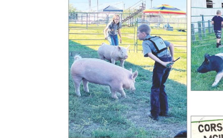 Bricelyn Pederson and Gracen Gill took home some purple and blue ratings in the swine division at the Corson County Fair.