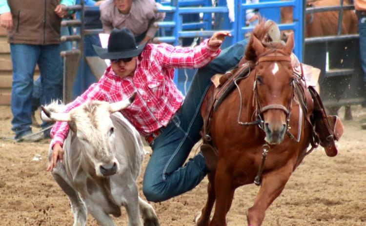Dupree cowboy Bobby Brewer competes in steer wrestling at the South Dakota Northwest Region High School Rodeo held in Dupree last Saturday and Sunday, June 8-9. Brewer qualified for the State High School Rodeo Finals for the second consecutive year and will compete for a state title in Ft. Pierre this weekend. Photo by Jon Flatland