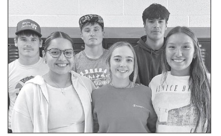 Dupree High School