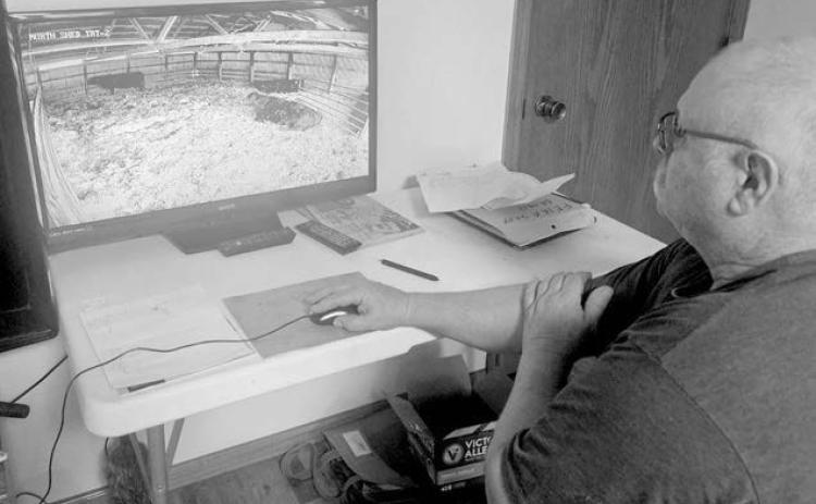 Calving goes high-tech