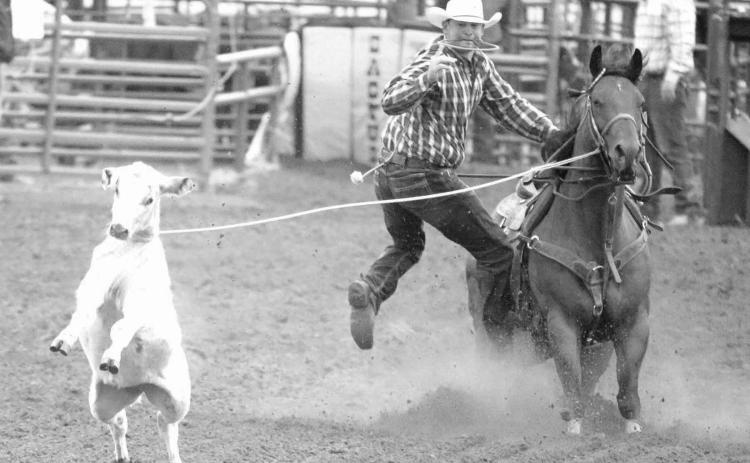 Trey Young of Dupree will be plenty busy over the next month participating in finals rodeos. He finished the regular season atop the South Dakota Rodeo Association’s tie-down roping standings and fourth in the North Dakota Rodeo Association ranks. Young is also second in the PRCA’s Badlands Circuit standings and currently leads the race for All-Around Cowboy honors heading into the circuit finals rodeo Oct. 14-16 in Minot, ND. Topic file photo by Jon Flatland