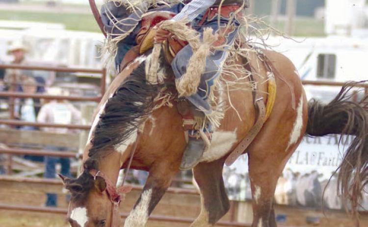 Mark Sandquist of Trail City, a member of the Timber Lake High School Rodeo Club, qualified for four different events at the South Dakota High School Finals Rodeo this weekend in Ft. Pierre. Sandquist will compete in boys cutting, team roping, saddle bronc riding and bull riding. Photo by Jon Flatland