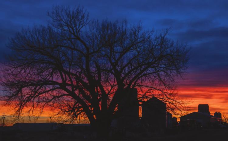 Isabel skyline at sunset