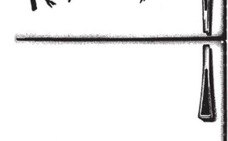 Alt Text for Image