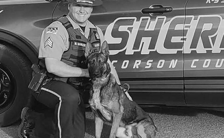 Corson County Sheriff’s Office K9 Zigi receives donated body armor