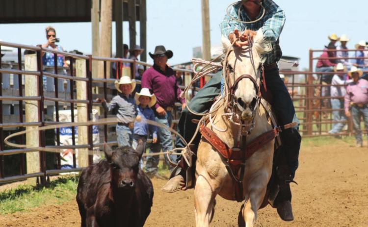 Rope Roghair of Isabel throws his loop during the regional high school rodeo in Dupree on Saturday. Photo by Jon Flatland