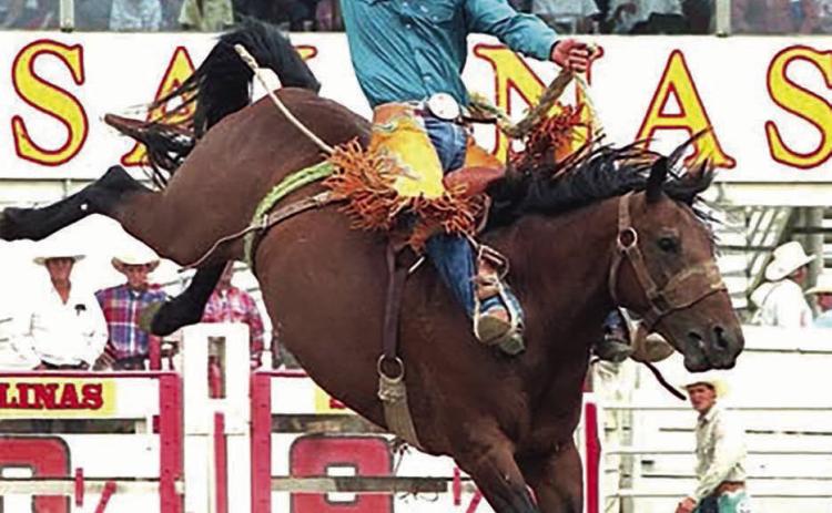 Bud Longbrake of Dupree, who qualified for five National Finals Rodeos and multiple Indian National Finals Rodeos was tragically killed Dec.20 in a one-vehicle accident on his ranch.