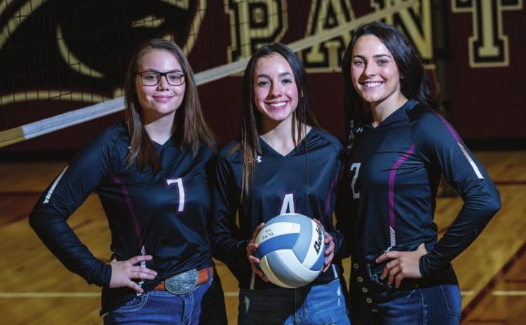 Panther Volleyball