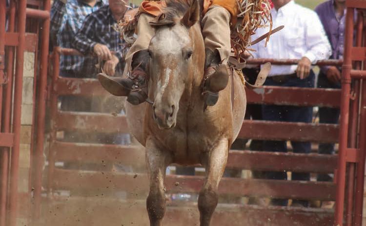 Conner Heinert of New Underwood won the Eagle Butte INFR Rodeo bareback bronc riding title on Monday, Sept. 2, on the second-to-the-last ride in the event. Heinert scored 85 points to be crowned champion and automatically qualifies for the INFR Finals in October. Photo by Jon Flatland