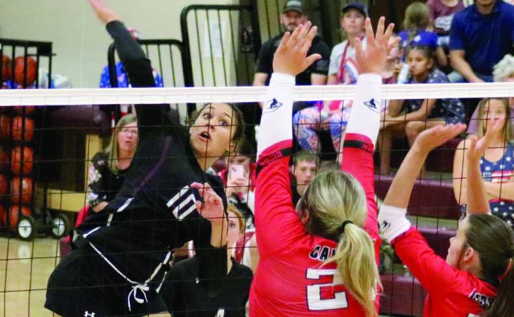 Hammer Time ... Timber Lake senior Jasmine Nash (10) smashes a kill spike during Homecoming Week action against the Bison Cardinals last Thursday, Sept. 5. The Panthers claimed a three-game sweep over the Cardinals with Nash leading the team in service aces, blocks and kills.