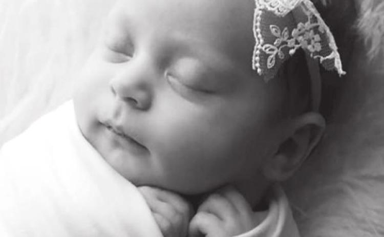 Timber Rose born December 18