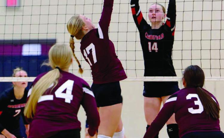 Maddy Hermes (17) attempts a spike during Timber Lake’s match up with visiting Bison last week. Photo by Marie DuPreez