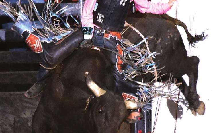 (LEFT) Chance Schott is continuing his bull riding season.