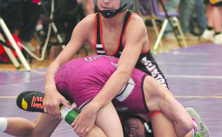 Ethan Ward (top) of McLaughlin-Timber Lake has Logan Pankratz of Marion-Freeman wrapped up in a tight little package during their match in the first-round of the 106-pound division at the Big Dakota Conference Wrestling Tournament in Ft. Pierre on Saturday, Feb. 4. Pankratz was able to turn the tables on Ward and pulled out a 6-4 decision for the win. Photo by Jon Flatland