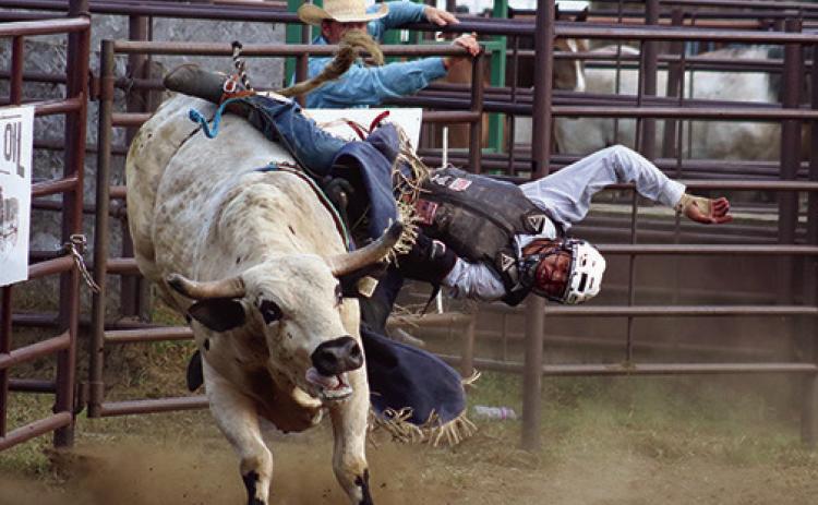 Trail City cowboy Mark Sandquist got two re-rides on bulls at the Days of 1910 Rodeo in Timber Lake on Sunday, July 28, managing to stay aboard just long enough on his third go to win the rodeo bull riding championship with a 67 point effort. Photo by Jon Flatland