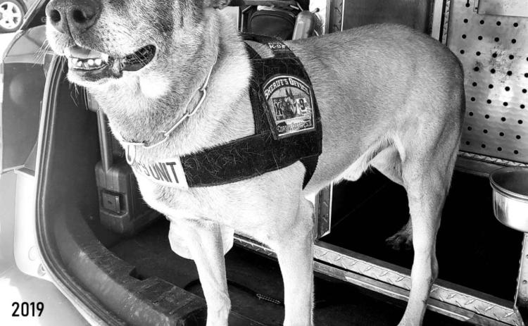 Corson K9 unit completes re-certification