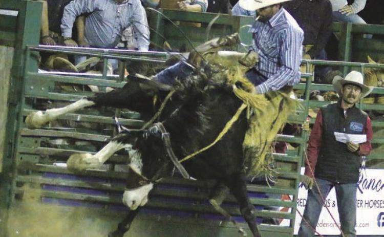 Ranch rodeo