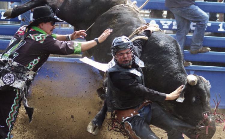 Faith bull rider Roy Antrim found himself someplace a bull rider never wants to be - hung up and in the well - at the Timber Lake High School Rodeo last Saturday, May 25. Bull fighter Layton Woodbury (left) moves in to try and free Antrim, who eventually escaped bruised but otherwise uninjured. Photo by Jon Flatland