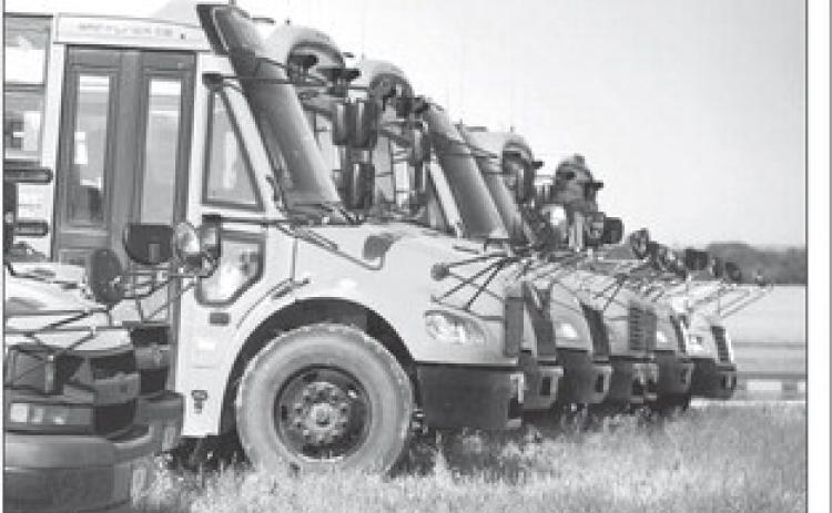 Fleet of buses